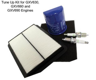 Tune Up Kit for GXV630, GXV660 and GXV690 Engines