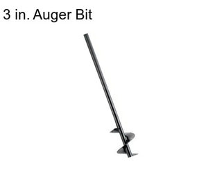 3 in. Auger Bit