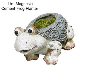 1 in. Magnesia Cement Frog Planter