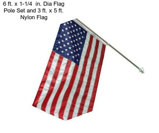 6 ft. x 1-1/4  in. Dia Flag Pole Set and 3 ft. x 5 ft. Nylon Flag