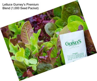 Lettuce Gurney\'s Premium Blend (1,000 Seed Packet)