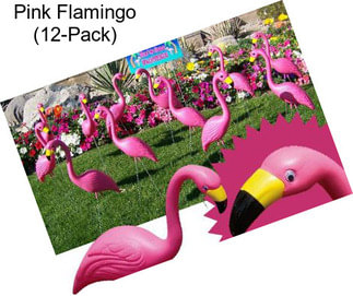 Pink Flamingo (12-Pack)