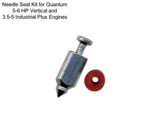 Needle Seat Kit for Quantum 5-6 HP Vertical and 3.5-5 Industrial Plus Engines