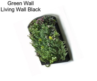 Green Wall Living Wall Black