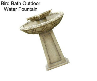 Bird Bath Outdoor Water Fountain