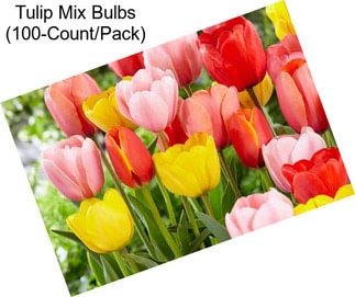 Tulip Mix Bulbs (100-Count/Pack)