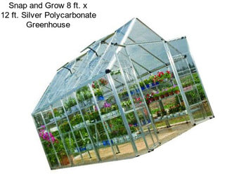 Snap and Grow 8 ft. x 12 ft. Silver Polycarbonate Greenhouse