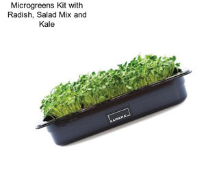 Microgreens Kit with Radish, Salad Mix and Kale