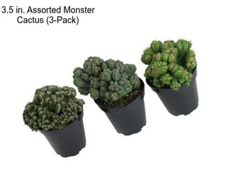 3.5 in. Assorted Monster Cactus (3-Pack)