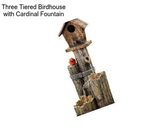 Three Tiered Birdhouse with Cardinal Fountain