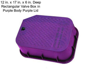 12 in. x 17 in. x 6 in. Deep Rectangular Valve Box in Purple Body Purple Lid