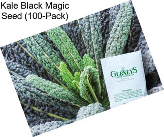 Kale Black Magic Seed (100-Pack)