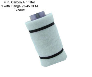 4 in. Carbon Air Filter 1 with Flange 22-45 CFM Exhaust