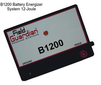 B1200 Battery Energizer System 12-Joule