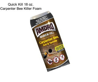 Quick Kill 18 oz. Carpenter Bee Killer Foam