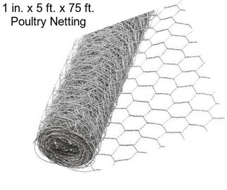 1 in. x 5 ft. x 75 ft. Poultry Netting