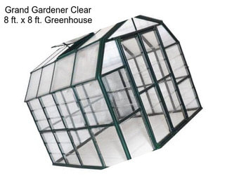 Grand Gardener Clear 8 ft. x 8 ft. Greenhouse