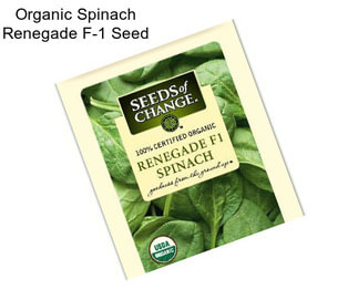 Organic Spinach Renegade F-1 Seed