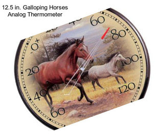 12.5 in. Galloping Horses Analog Thermometer