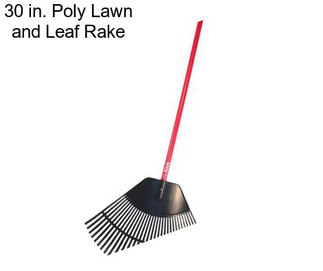 30 in. Poly Lawn and Leaf Rake