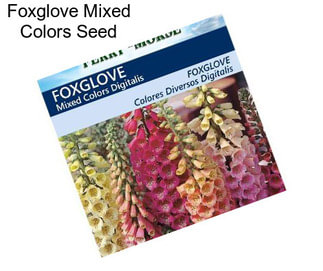 Foxglove Mixed Colors Seed