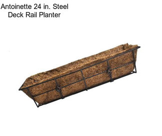 Antoinette 24 in. Steel Deck Rail Planter