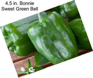 4.5 in. Bonnie Sweet Green Bell