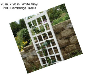 76 in. x 28 in. White Vinyl PVC Cambridge Trellis