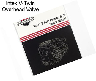 Intek V-Twin Overhead Valve