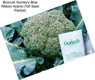 Broccoli Gurney\'s Blue Ribbon Hybrid (100 Seed Packet)