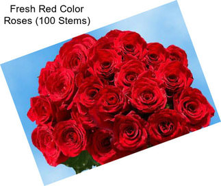 Fresh Red Color Roses (100 Stems)