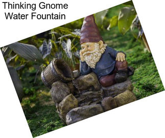 Thinking Gnome Water Fountain