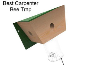 Best Carpenter Bee Trap