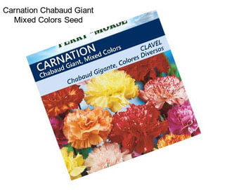 Carnation Chabaud Giant Mixed Colors Seed