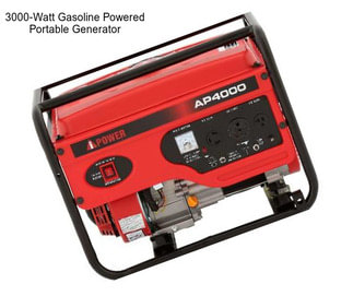 3000-Watt Gasoline Powered Portable Generator