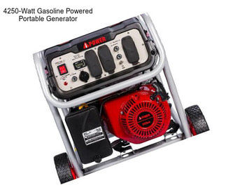 4250-Watt Gasoline Powered Portable Generator