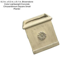 8.3 in. x 8.3 in. x 9.1 in. Brownstone Color Lightweight Concrete Chrysantemum Square Small Planter