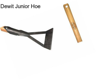 Dewit Junior Hoe