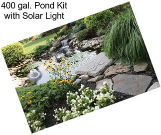 400 gal. Pond Kit with Solar Light