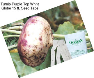 Turnip Purple Top White Globe 15 ft. Seed Tape
