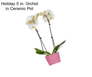 Holiday 5 in. Orchid in Ceramic Pot