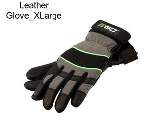 Leather Glove_XLarge