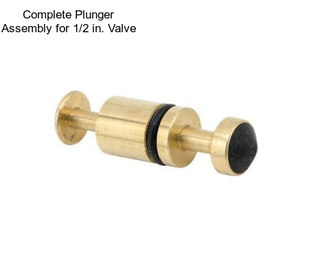 Complete Plunger Assembly for 1/2 in. Valve