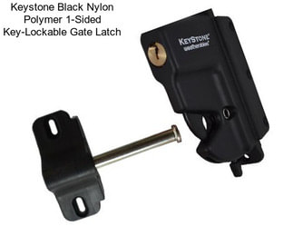 Keystone Black Nylon Polymer 1-Sided Key-Lockable Gate Latch