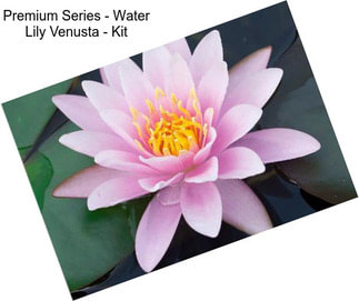 Premium Series - Water Lily Venusta - Kit