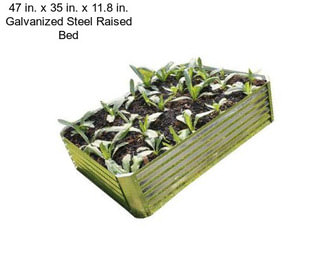 47 in. x 35 in. x 11.8 in. Galvanized Steel Raised Bed