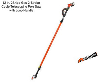 12 in. 25.4cc Gas 2-Stroke Cycle Telescoping Pole Saw with Loop Handle