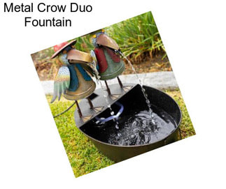 Metal Crow Duo Fountain