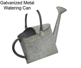 Galvanized Metal Watering Can