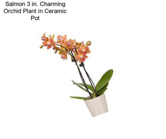 Salmon 3 in. Charming Orchid Plant in Ceramic Pot